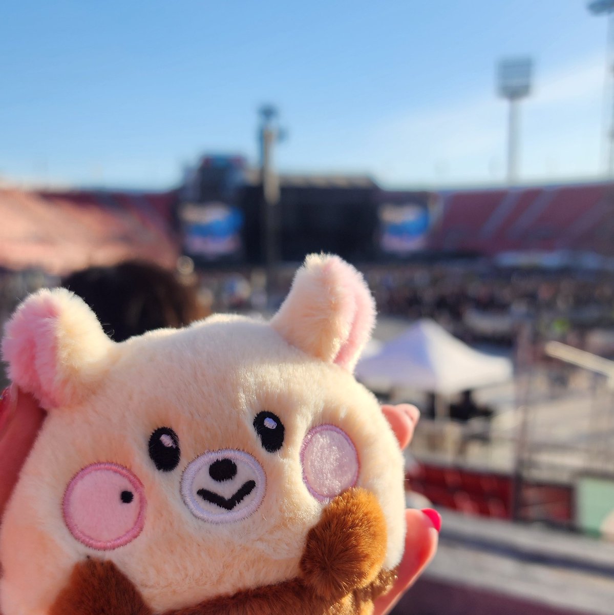 ₊ ۪ ׄ໑୧ ׅ𖥔ׄ tweet media