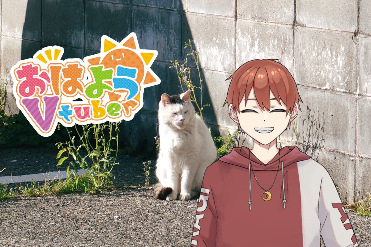 如月アオ 如月あお❄🕊 (@Ao_hoheto) / Posts / X