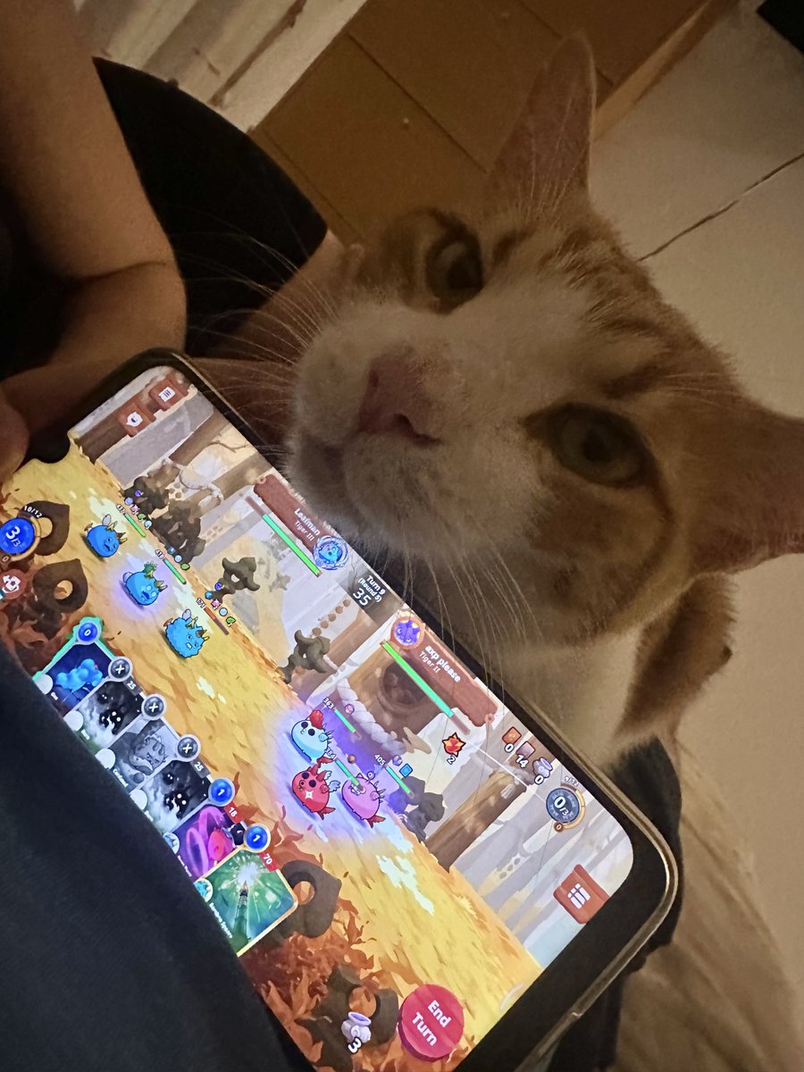 Mi nuevo soporte para celulares 🙃