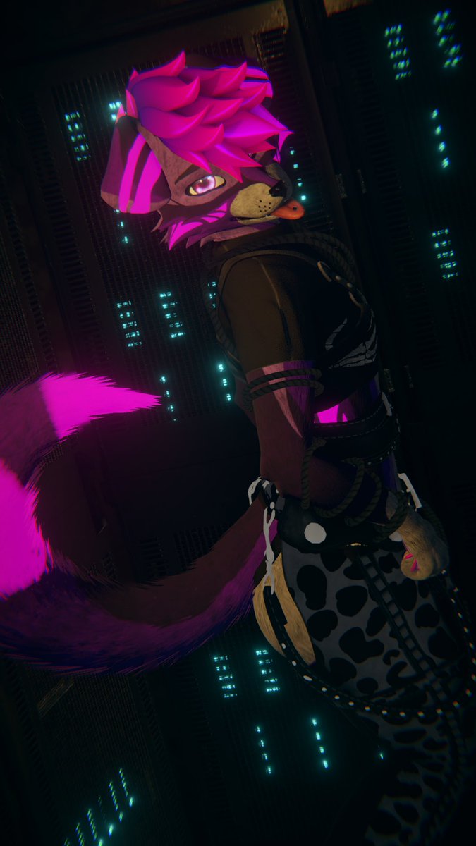 That_1_Quacker's tweet image. Felt pretty
Photos taken by  @Galaxyafterdark