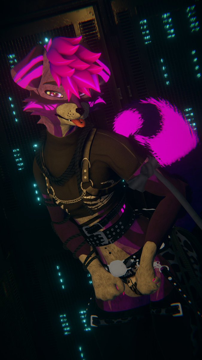 That_1_Quacker's tweet image. Felt pretty
Photos taken by  @Galaxyafterdark