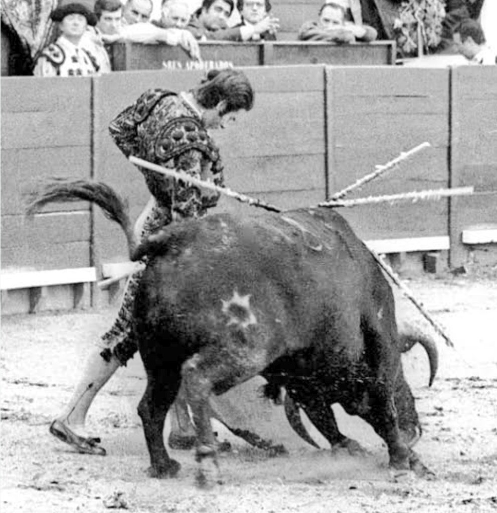 RAFAEL DE PAULA...que los coros celestiales en Día de Muertos lo reciban con una mesa repleta de Figuras del Toreo para que le hagan más amena la llegada al eterno ruedo...
Que en paz descanse 🙏