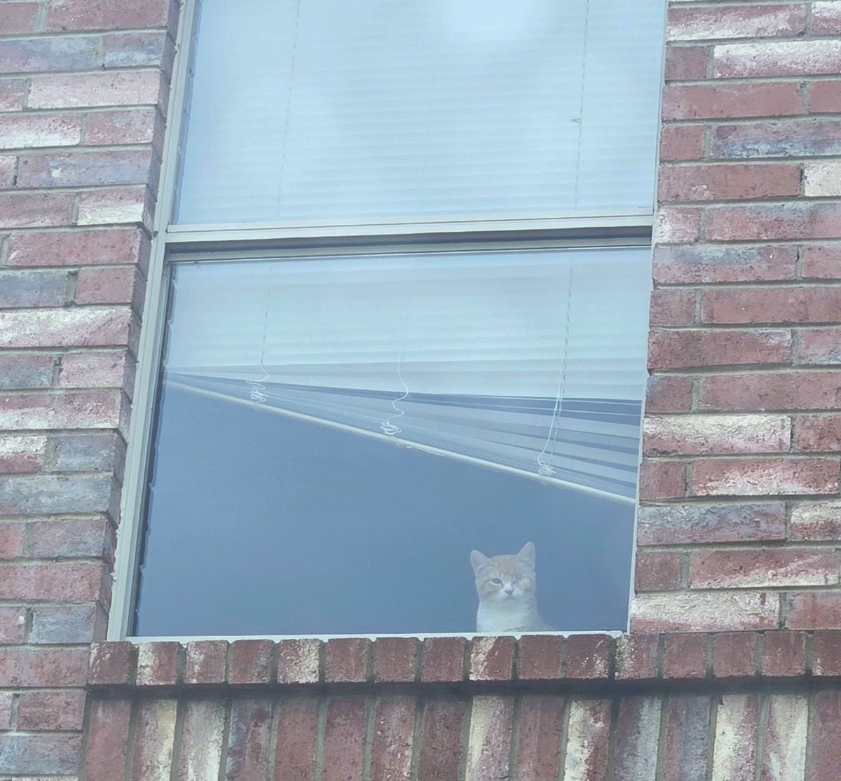 why does it feel like somebody's watching me?