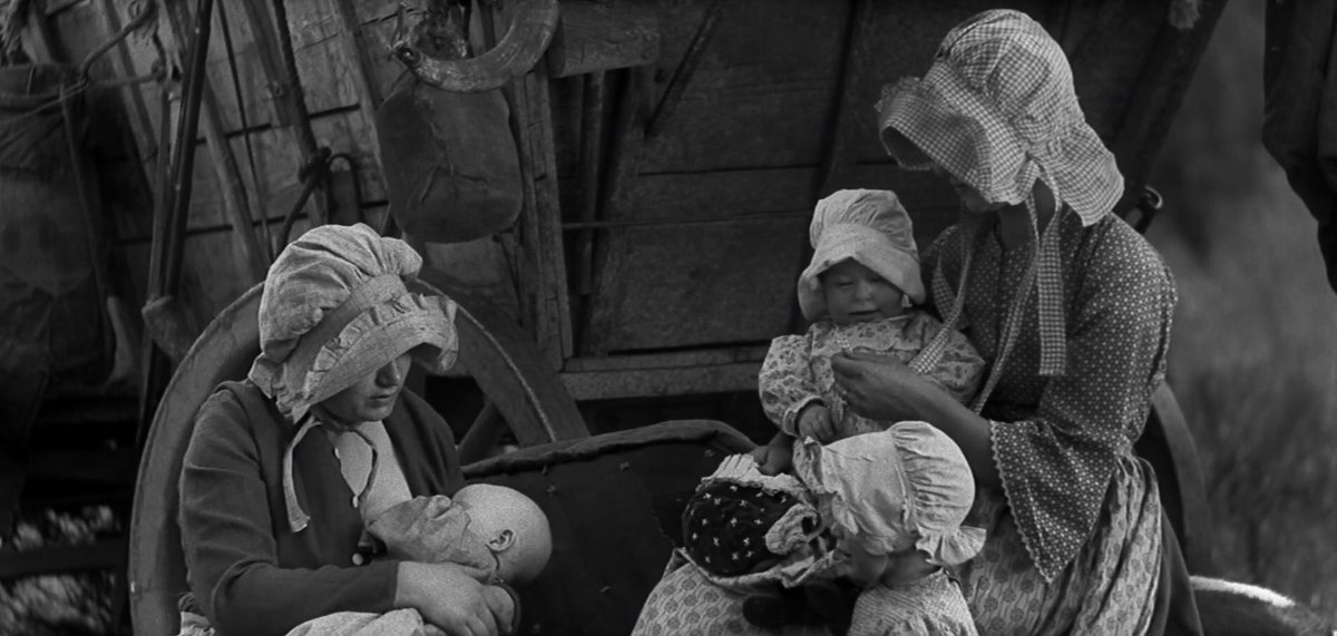 La Ronronthèque tweet media