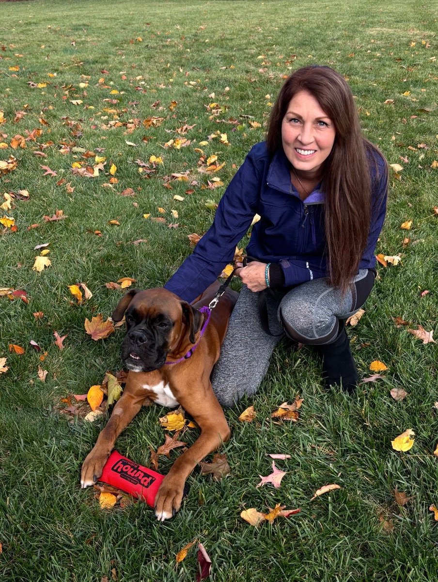 What a weekend it was for Gatsby. You may recall he was picked up as a stray at a grocery store at midnight and brought into ⁦<a href="/ACCTPhilly/">ACCT Philly</a>⁩ . We had him fully vetted and a previous adopter snatched him up. He now has a #rescue #boxer sister. #adopted #boxerdogs #shelterpets