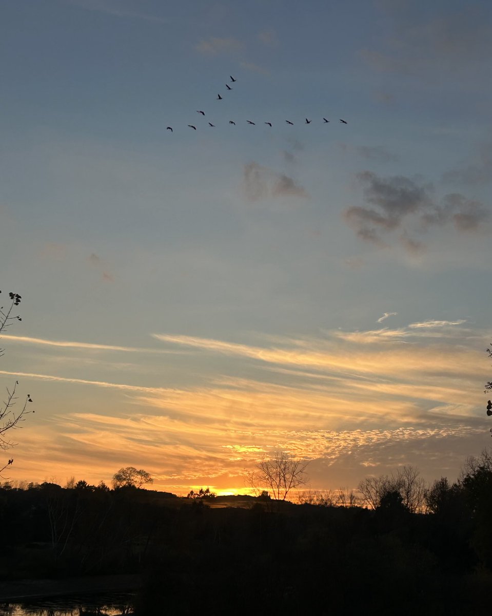 Dr. Bob Davies, President Emeritus and Professor tweet media