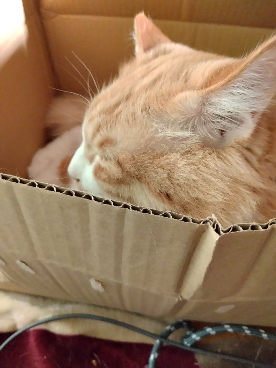 ヨハン on X ヨハン on X