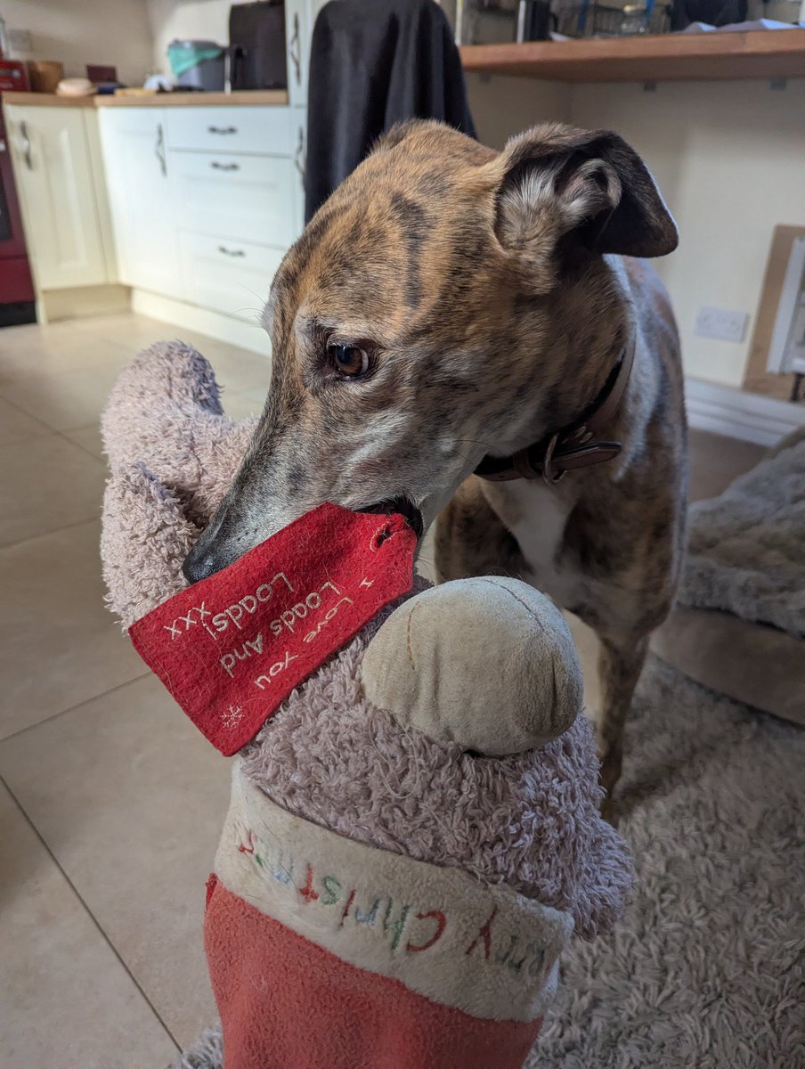 Earlhotdog tweet media