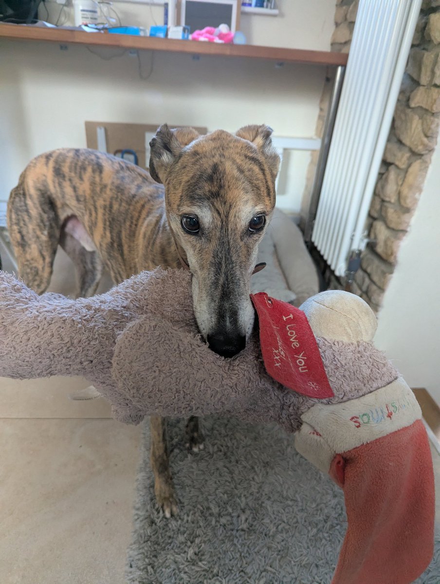 Earlhotdog tweet media