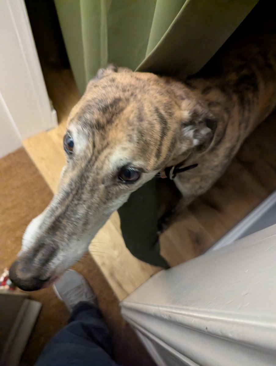 Earlhotdog tweet media