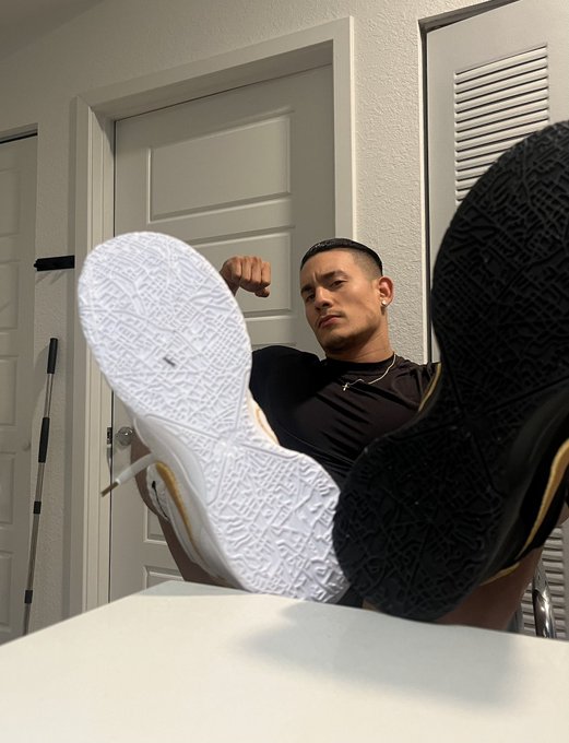 dantekingalpha