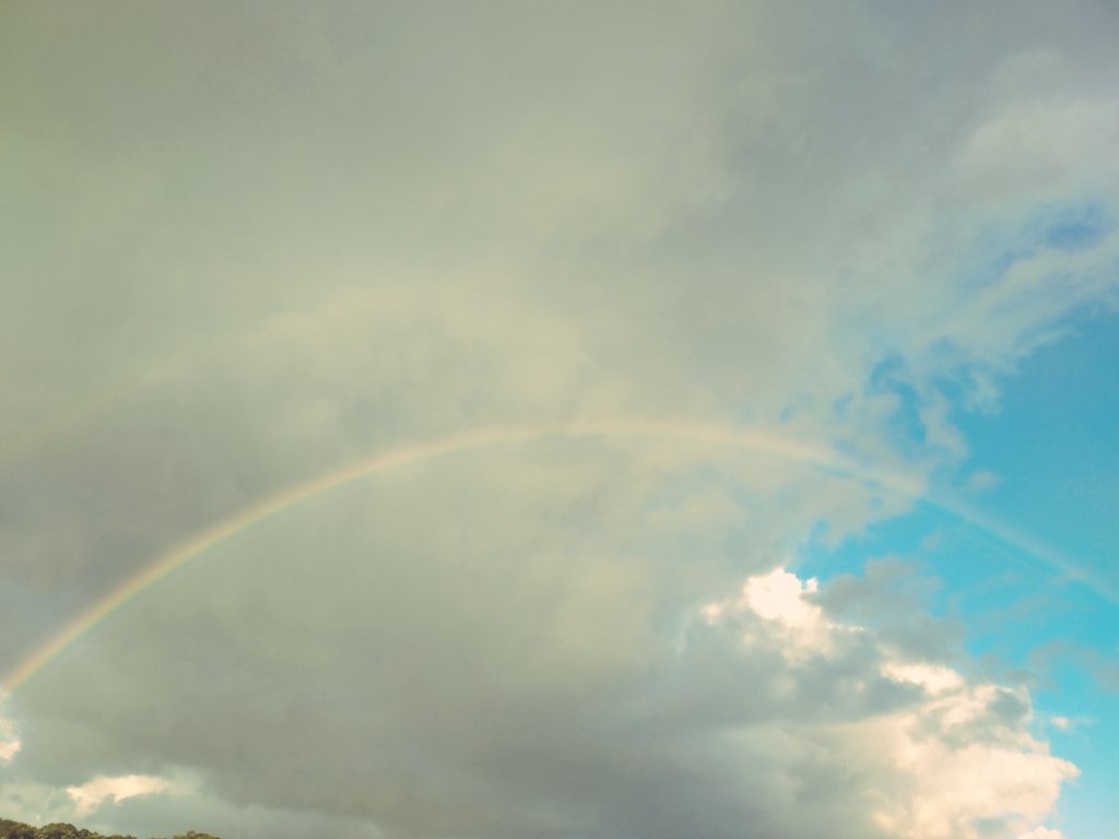虹だー🌈

#虹