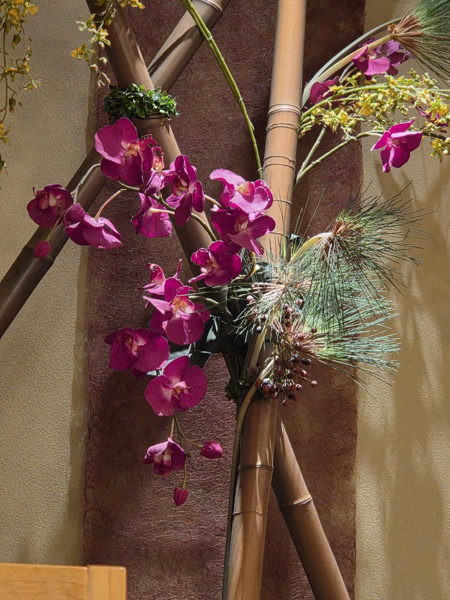 朝ジム3/三連休コンプリート✨

何と言っても昨日のワールドシリーズ、山本選手の緊張は人類史上最大のものだったに違いない…。

｢野球少年に戻ったような気持ちで｣

これが自身に対する最高のマインドコントロールだったのかなぁ。

とにかくもう何も言えない、感動をありがとうございましたm(__)m