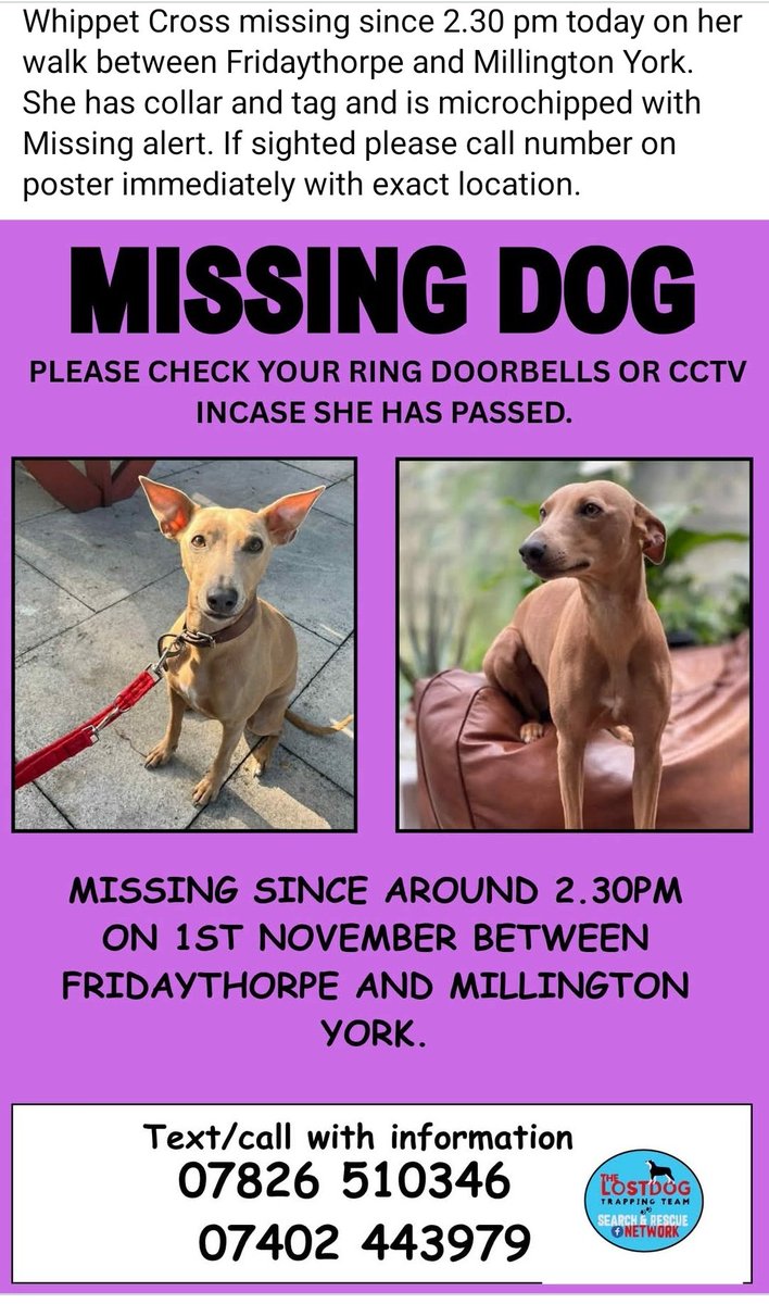 Nigel Currie tweet media