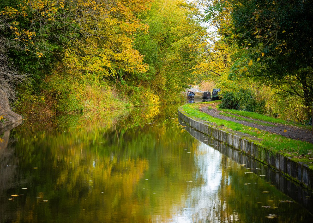 Brian Jenkins tweet media