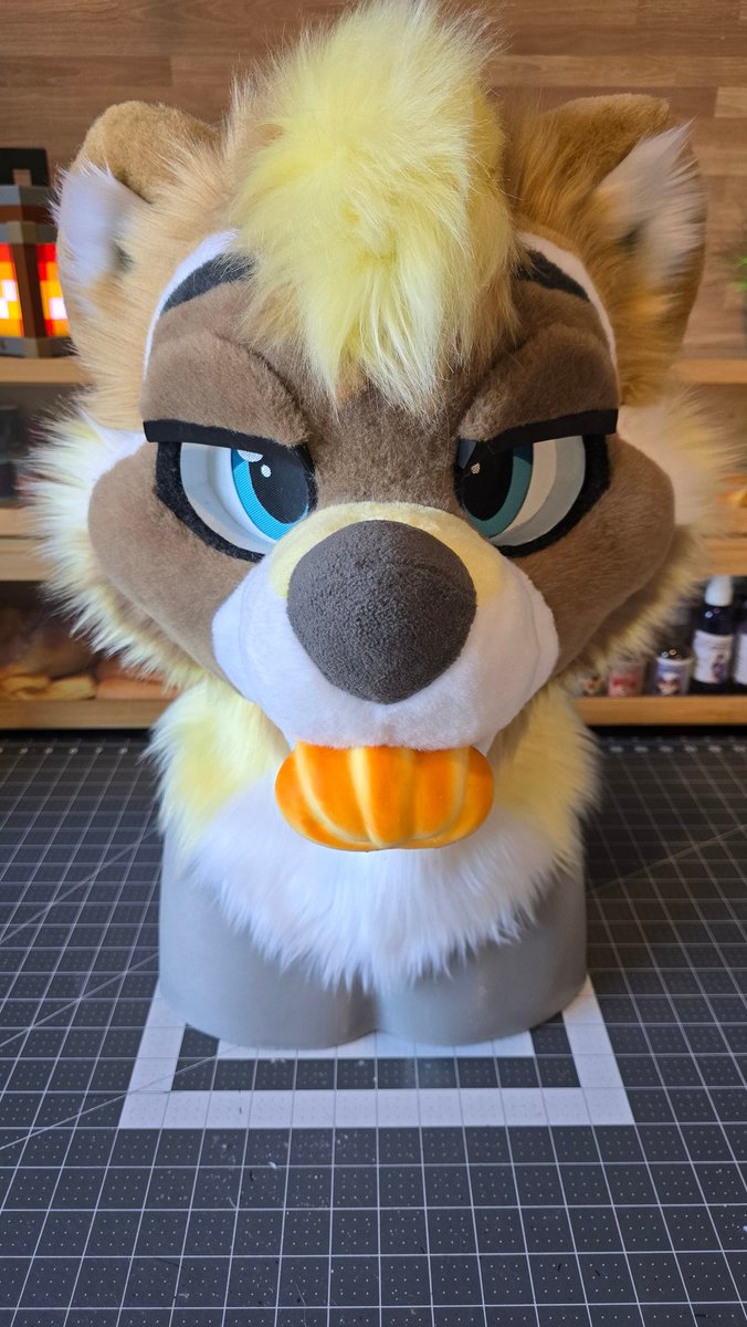 The goobers have a tendency to get into our things😤...