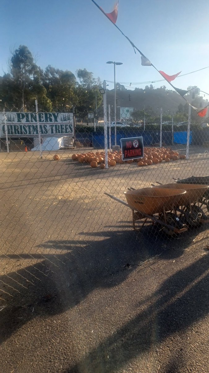 Seasons move fast here...