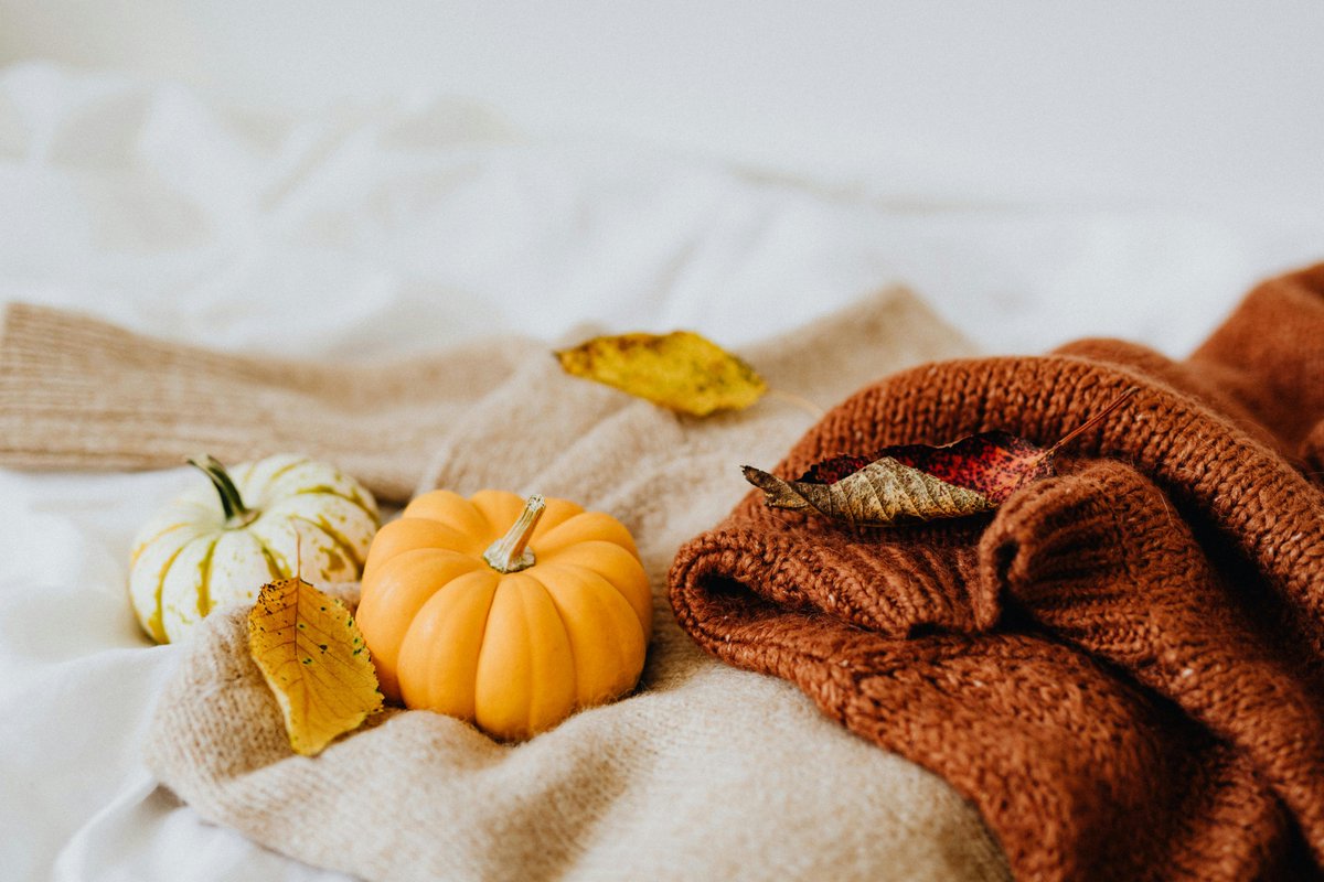 homeprodecor3's tweet image. 🧡 Stay cozy this Thanksgiving!
Soft blankets in warm white &amp;amp; orange tones to match the season 🍁
Shop your fall comfort 👉 homeprodecor.com
#Thanksgiving #CozyDecor #HomeProDecor #FallComfort