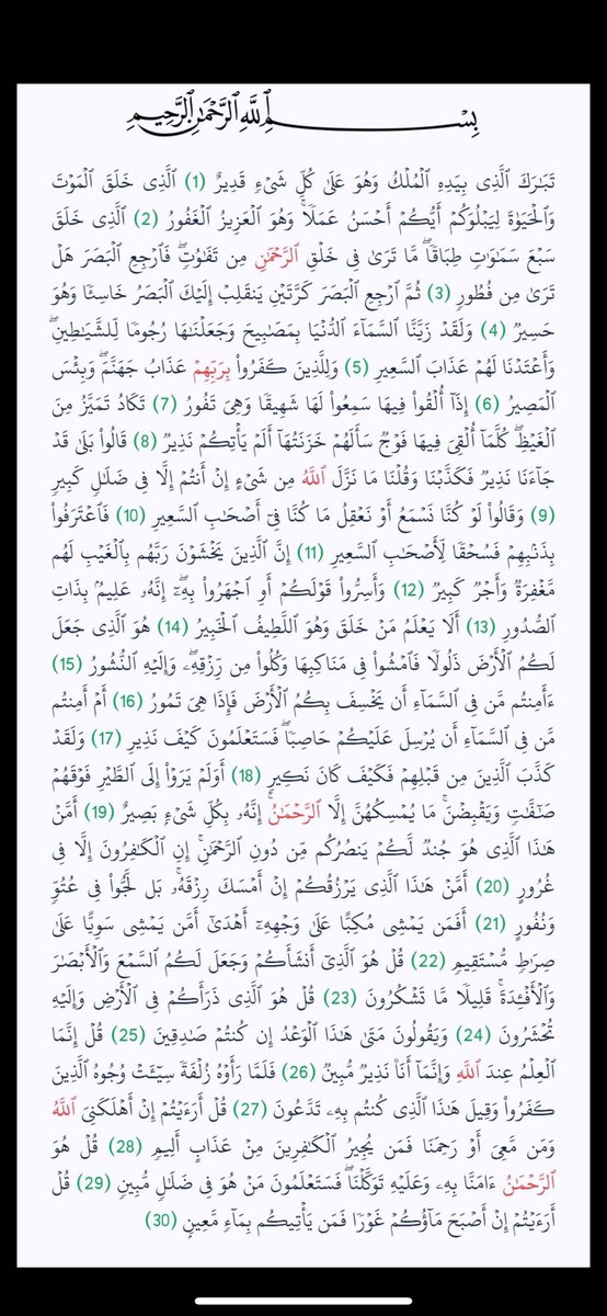 A lot of people in one person tweet media