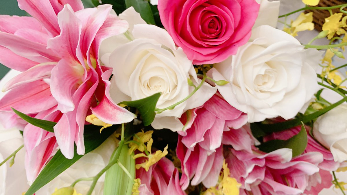 みずいろわいん🍀🍾🍸💓 on X