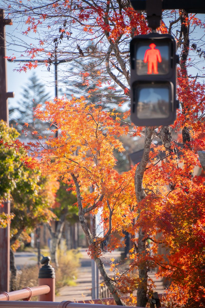 yamazoh@typeR便乗大臣 (@FK8FL5) / Posts / X