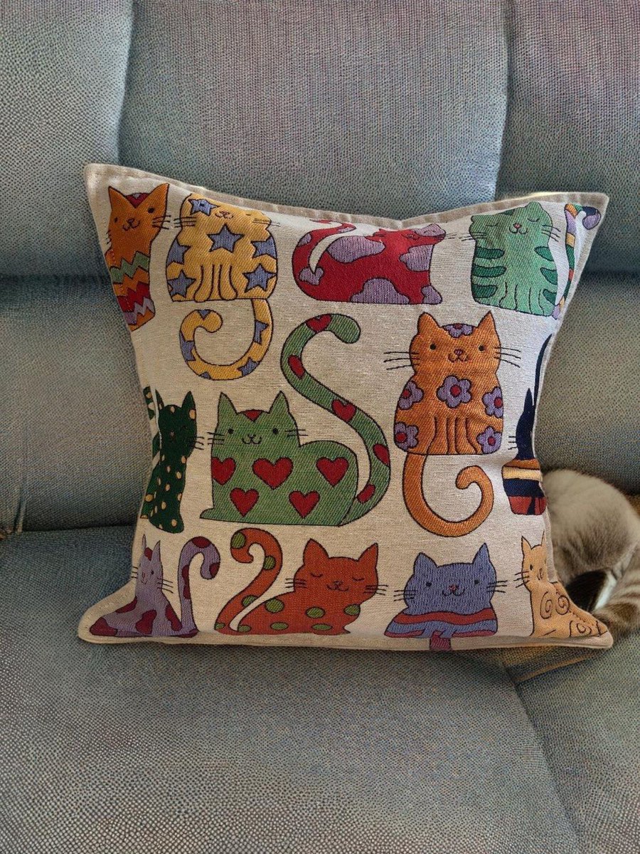 only cute things (@cutedreamvibes) on Twitter photo 