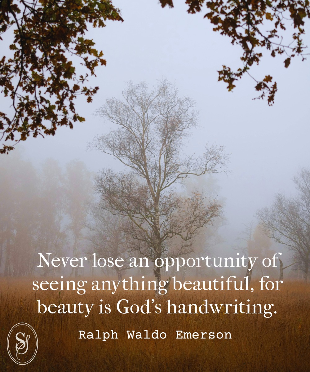 Never lose an opportunity of seeing anything beautiful, for beauty is God's handwriting. - Ralph Waldo Emerson