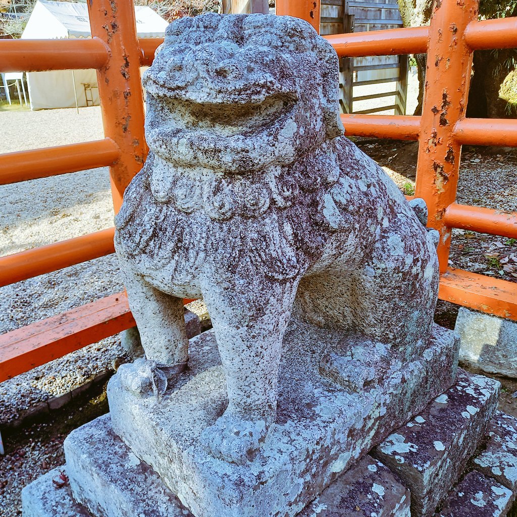 こまいぬページ ふしぎあん on X