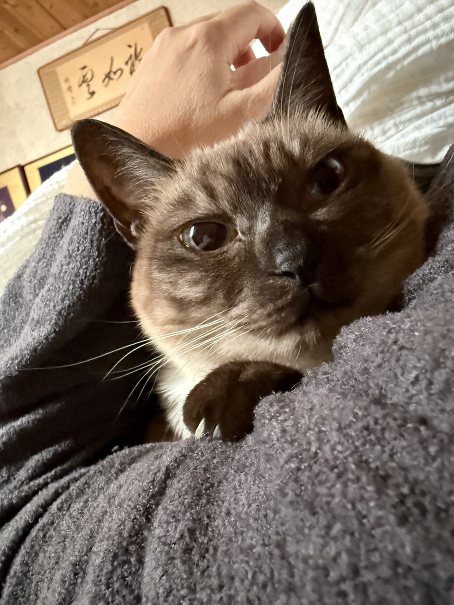 かーちゃんが目覚めたと見るや、すぐ隣の自分の寝床から添い寝へと移行