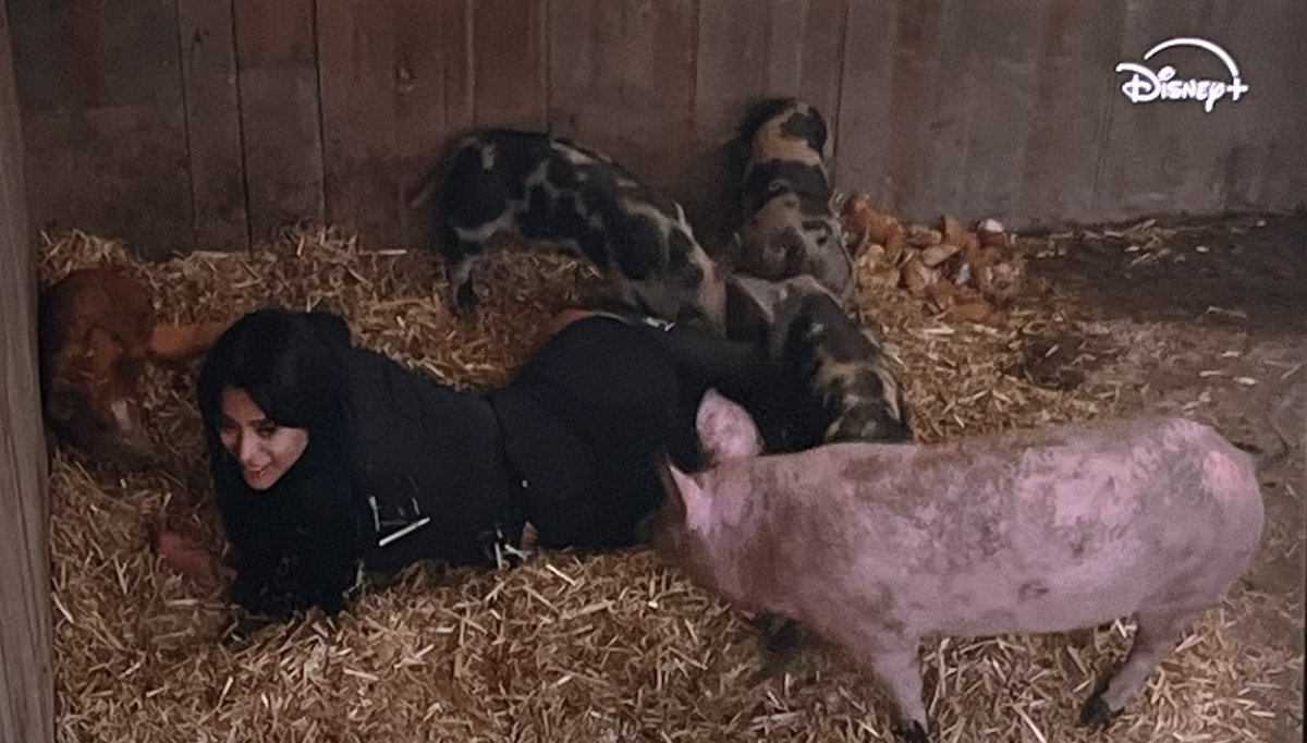 Óleo sobre lienzo: Kim, rodeada de sus nobles caballeros de lodo, se muestra serena, como quien gobierna un reino donde la calma y la armonía son ley. 🐖🎨✨