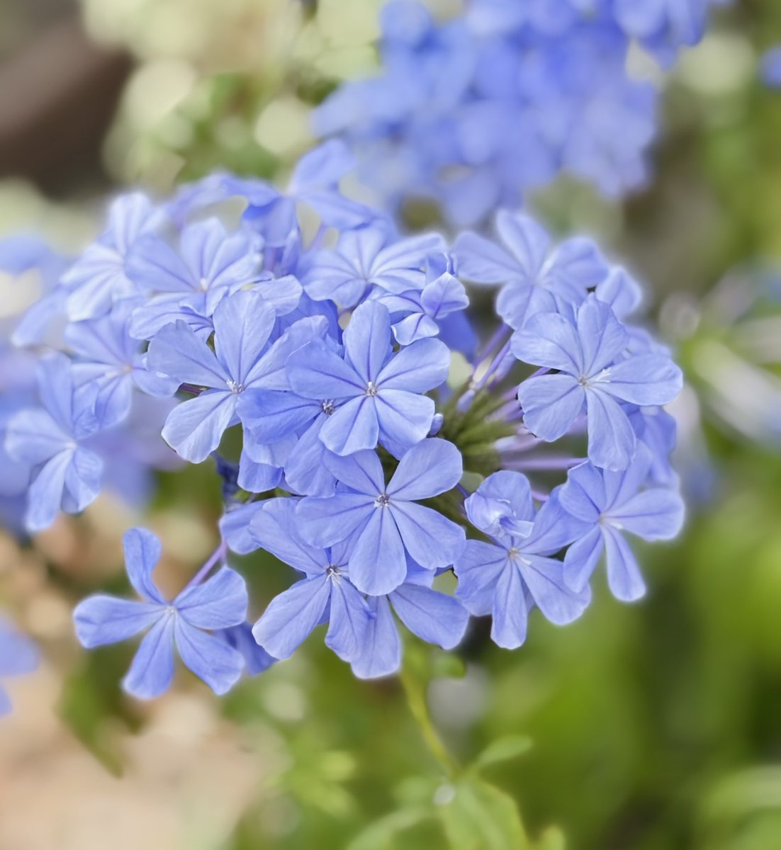 まぁちゃん𓂃◌۫𖤣𖥧 𓆸٭*𓈒 (@ma_42_r) / Posts / X