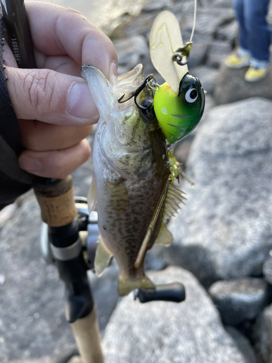 skillful【スキルフル】オカモトタクミ (@skillfullure) / Posts / X