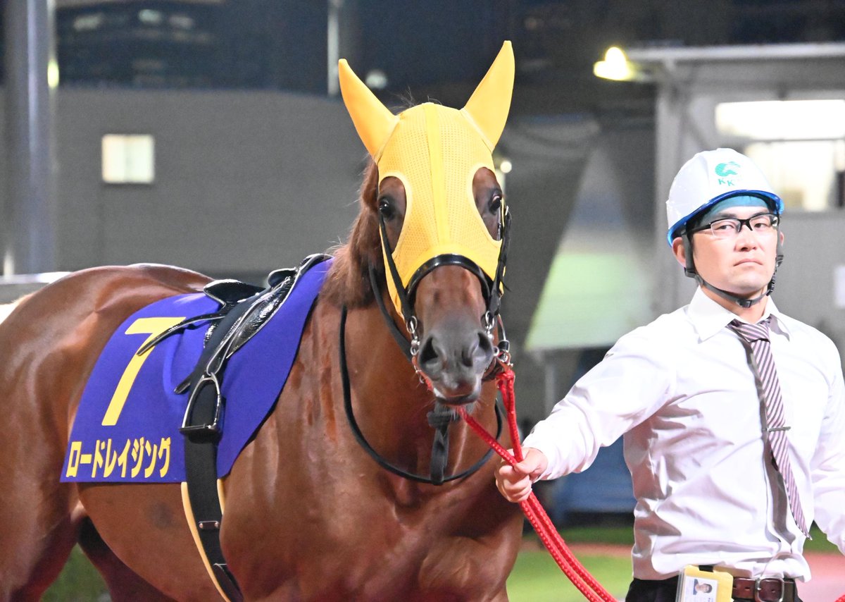 クレイジーカナック エックス クレイジーファスト Elite HG/AG／サッカーショップKAMO