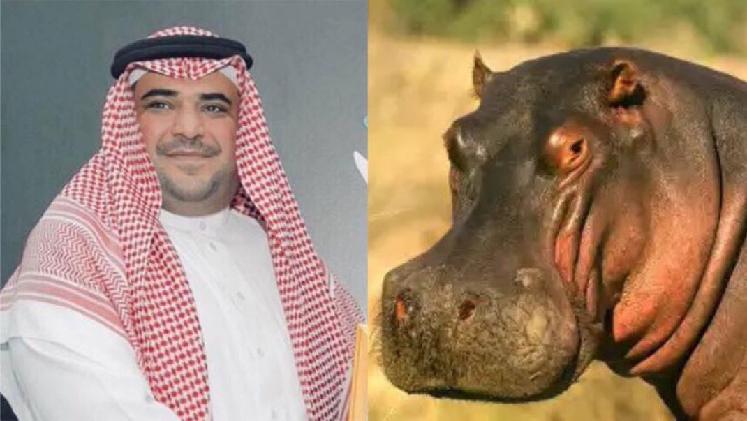 كاتب البيان