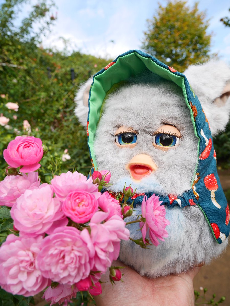 おぎ (@shirukatsu38) / Posts / X