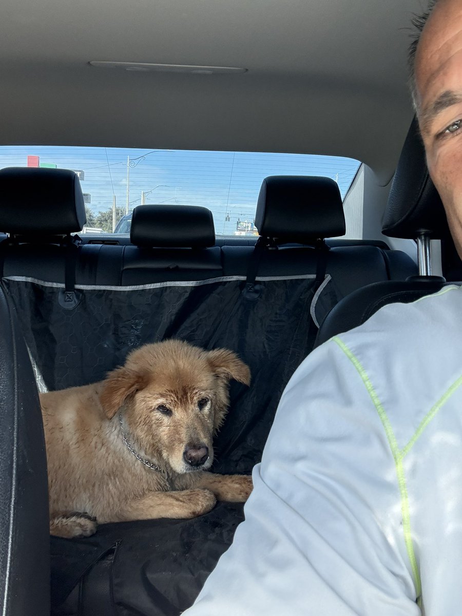 Another weekend lost. Thank goodness for my best buddie….my dog Max