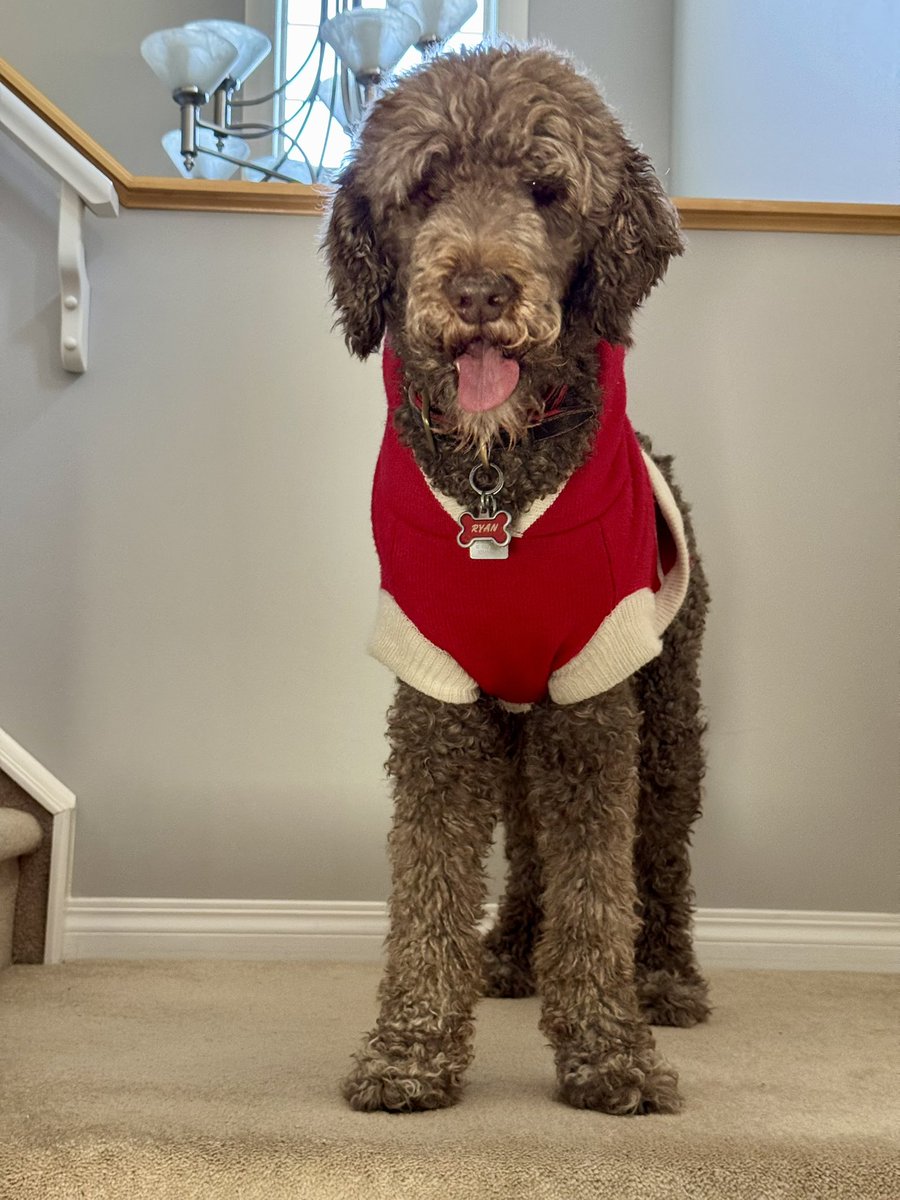 It may be Monday tomorrow, but the weekend isn’t over yet! Let’s get back out there and enjoy the sun! #spoo