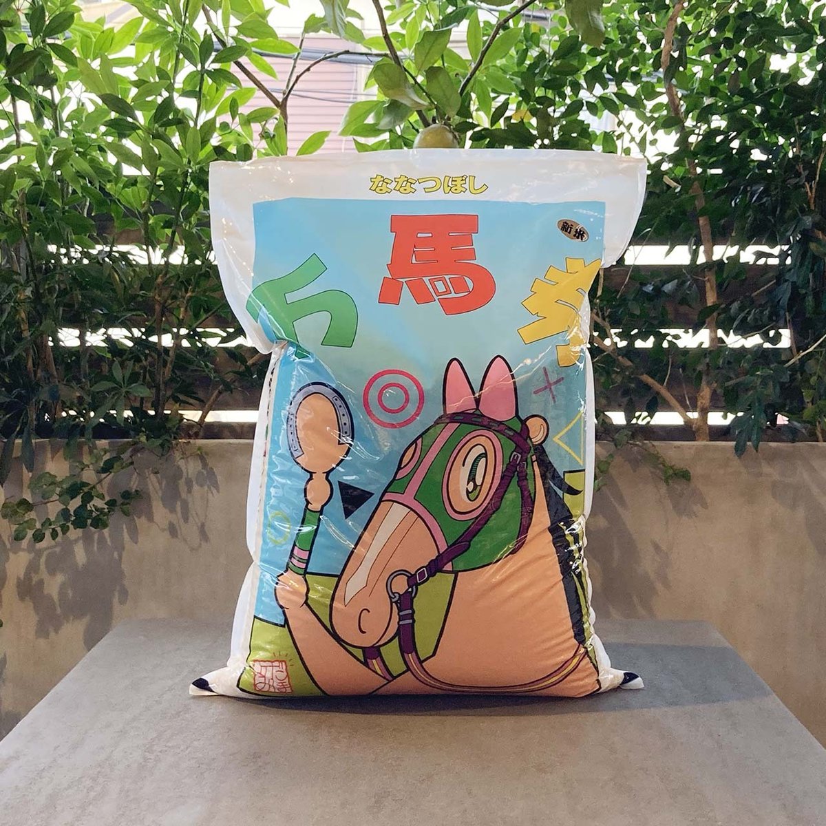 的場文男 (@fumio230uma) / Posts / X