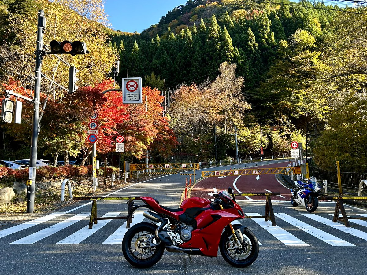 🇯🇵るりあんり🇮🇹 on X