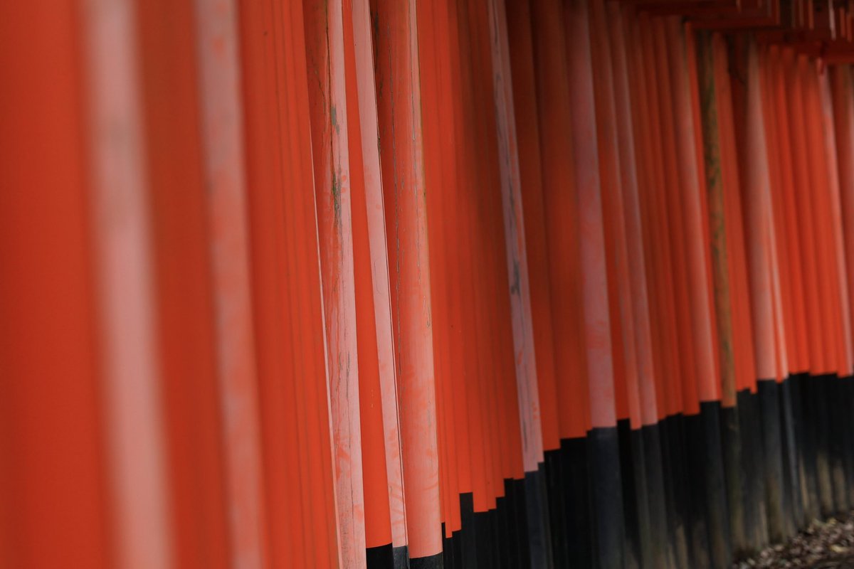 アリス (@alice8944) / Posts / X