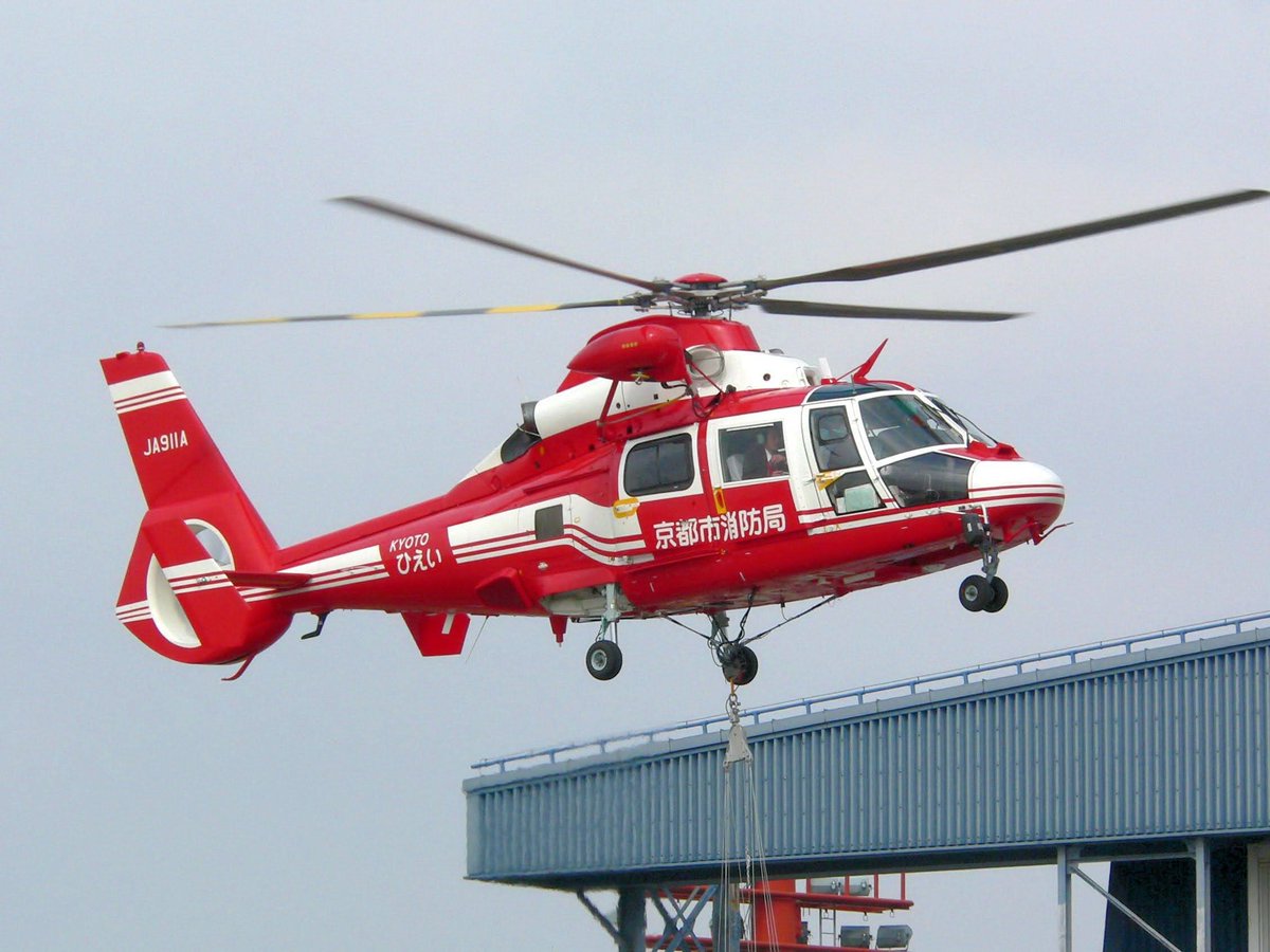 #ドーファンを愛でる会