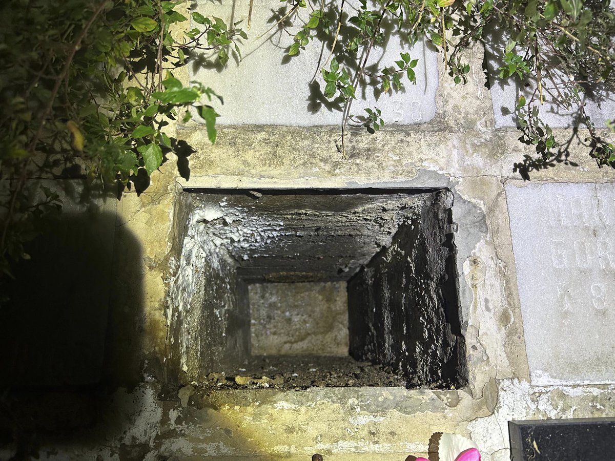 BarakaldoPcivil's tweet photo. Hoy en @BarakaldoPcivil hemos retirado un nido de avispa asiática que ayer encontramos y neutralizamos en un nicho del cementerio. 
Recuento: 850 avispas.
#Emergencias
#MedioAmbiente
#ProteccionCivil
#BabesZibila 
. https://t.co/9rYfu9Q8oZ