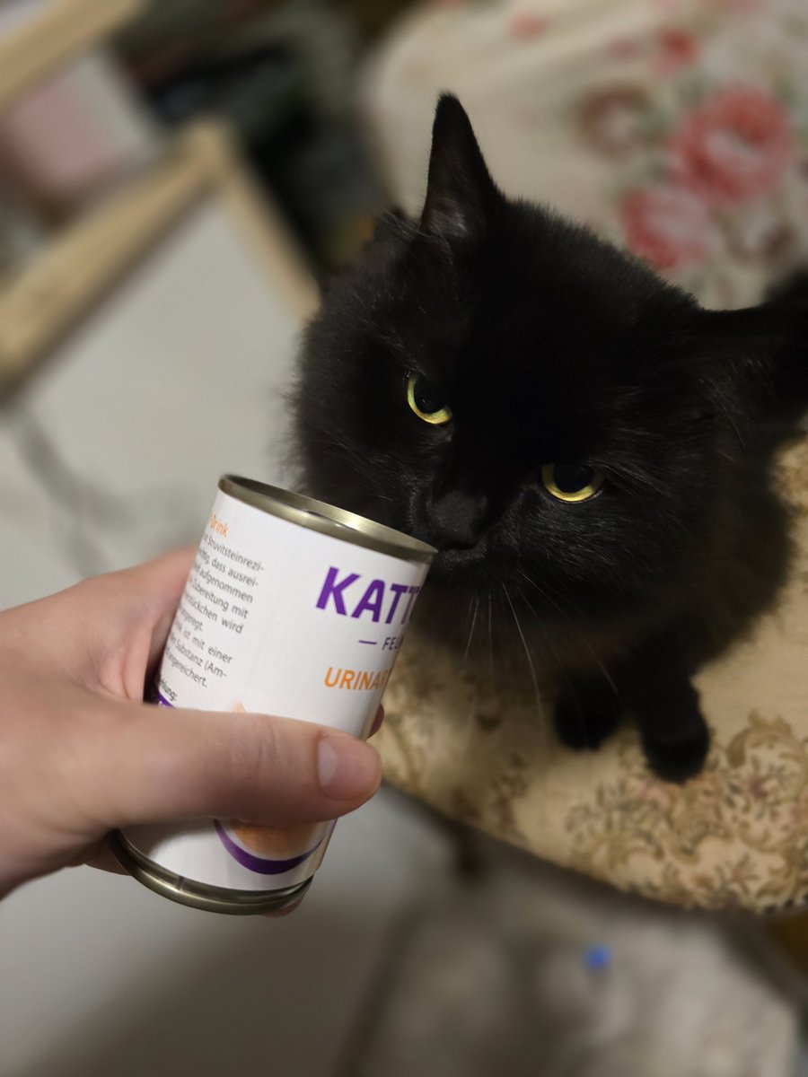 Ahhh! He wants cat soup?! :)