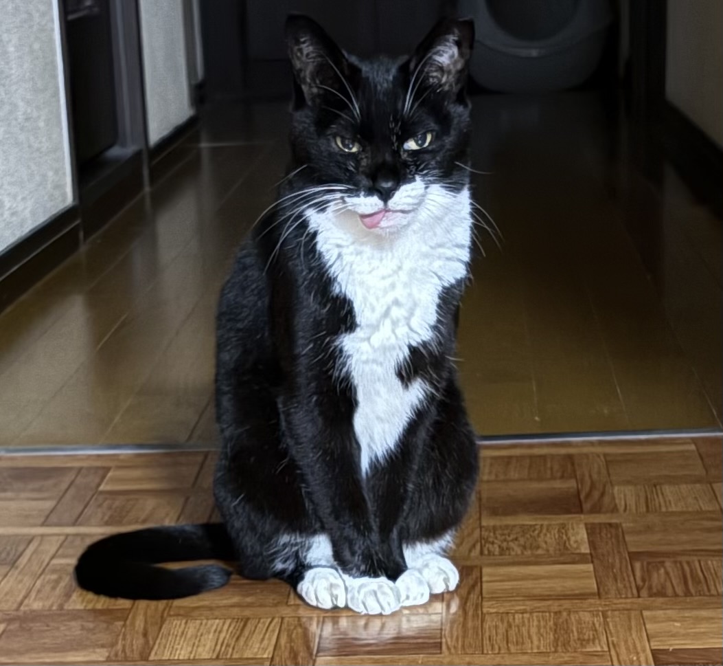 みかP (@Wffg3eitk7DiK0x) / Posts / X