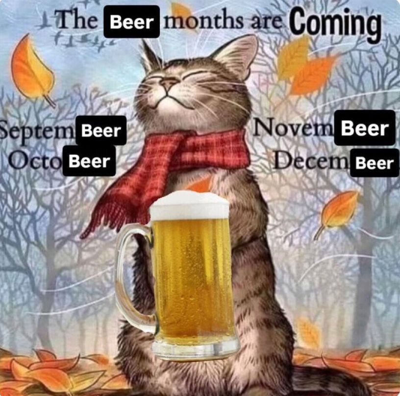 Internet Slop (@gimmickslop) on Twitter photo 