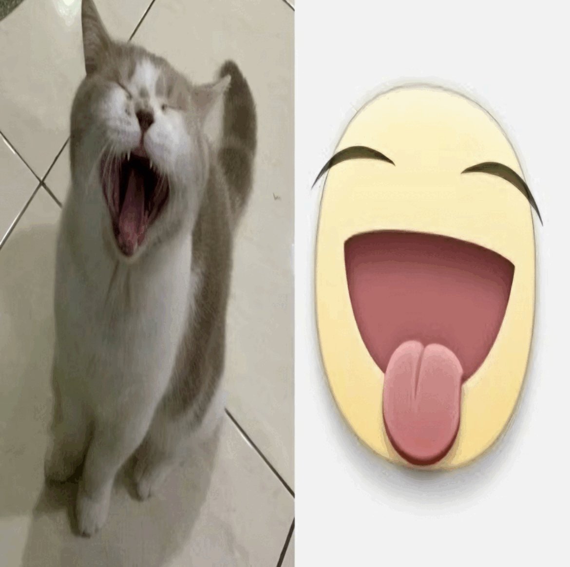 scourgey tweet media