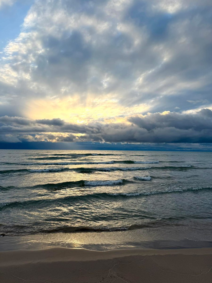 Mark the Caddie tweet media