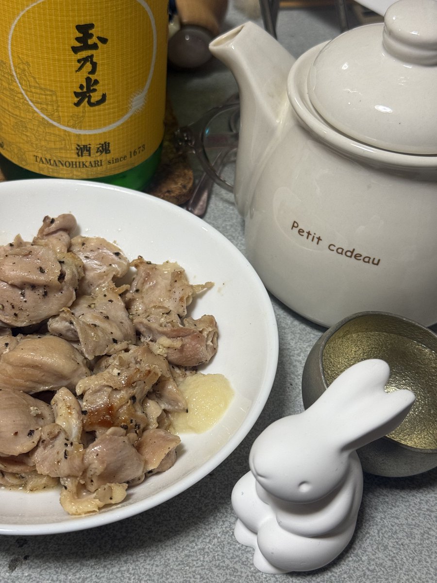 Noriyoshi Yuda品です アオシマ 1/24 サイバーフォーミュラ No.SP スゴウ アスラーダ