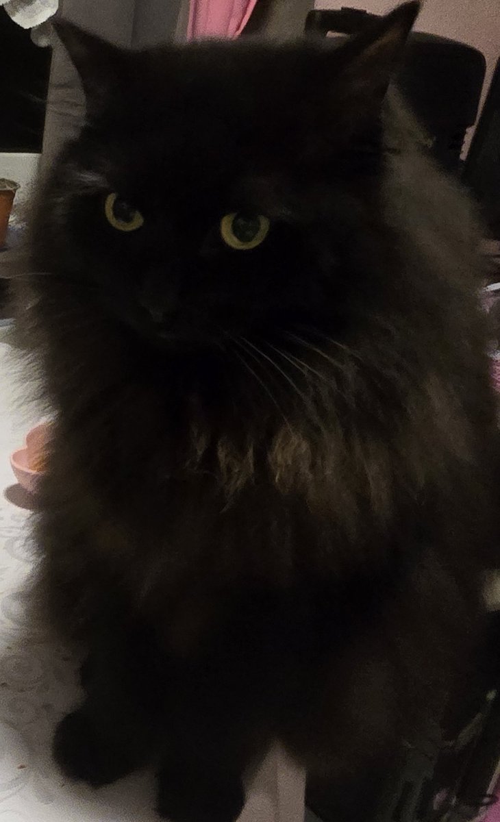 Got soup. Got snacks. Got food. Prrrrprrrrrrrprrrrr!!