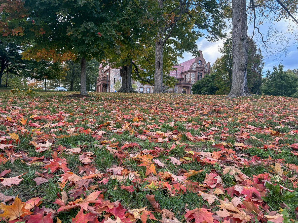 #Wellesley MA town government meetings for week of Nov. 3, 2025: Special Town Meeting begins; Boiler replacement; New Schofield sign; Affordable Housing Trust appointee recs theswellesleyreport.com/2025/11/welles…